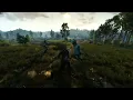 Blood And Steel The Witcher 3 Animation Mod