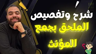 شرح الملحق بجمع المؤنث السالم في اللغة العربية قواعد وأمثلة 