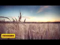 LA NIÑA DE TUS OJOS - Alabanzas Poderosas Que Dan Fuerzas - Mix De Adoracion 2023 - Musica Cristiana