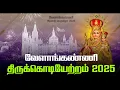 Download Lagu LIVE - 29-08-2025 | Shrine Basilica Vailankanni | Flag Hoisting - 2025 | திருக்கொடியேற்றம் - 2025