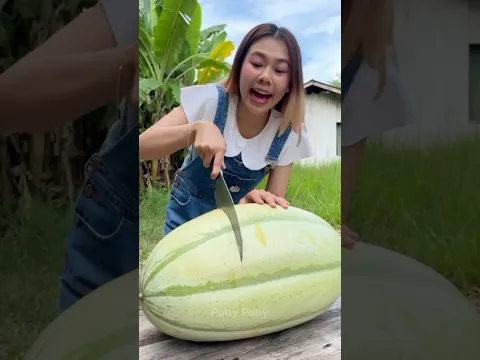 ผ่าแตงไทยออกมาเป็นหนู 10 กว่าตัวได้มั้ง  #viral #pony #funny #amazing #satisfying