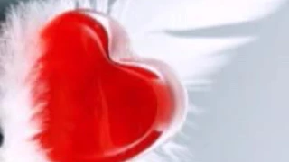 انتي لي ربيتي لريش 