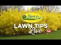 February Lawn Tips Live from Super-Sod of Lawrenceville GA