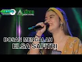 Download Lagu BOSAN MENGALAH || ELSA SAFITRI