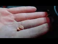 How To Split A Pill In Half - Without A Pill Cutter NO EQUIPMENT