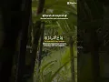 Download Lagu surah al insyirah