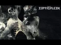Septicflesh - The Vampire From Nazareth [Lyric Video]