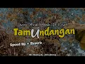 Tamu Undangan - Lavora Official Ft Ratih SDE (Cover) - Slow+Reverb+Mix - CIDROBARENG🎧