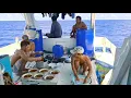 Download Lagu Hari ke 4 dan ke 5 Mencari Ikan Di Laut Mamuju || Pa'gaE Mandar || KM Burapala