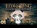 Download Lagu 【ELDEN RING: SHADOW OF THE ERDTREE】 DLC starts NOW! | #1