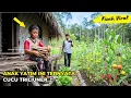 Download Lagu VIRAL! Anak Yatim Piatu hidup sendiri di Hutan, Ternyata dia Cucu Triliuner..!