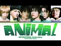 BOYNEXTDOOR (보이넥스트도어) 'ANIMAL' (Color Coded Lyrics)