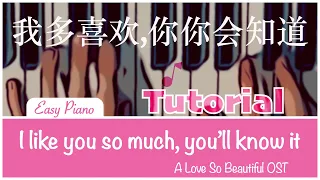 I like you so much, you'll know it 我多喜欢你, 你会知道 (A Love So Beautiful OST) Piano Tutorial Easy