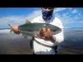 NZ Surfcasting for Kingfish ft Fishingreminder