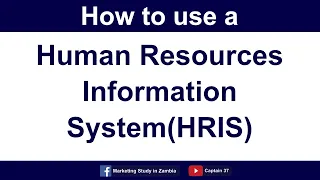 How to use a Human Resources Information System HRIS