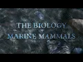 The Biology of Marine Mammals Lecture 1