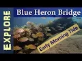 Blue Heron Bridge Early Morning Tide