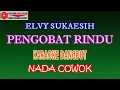 Download Lagu KARAOKE DANGDUT PENGOBAT RINDU - ELVY SUKAESIH (COVER) NADA COWOK