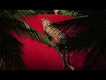 Mac Miller - Woods