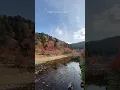 Download Lagu 🍂🍁🧡#autumnfoliage #fallvibes #shortsvideo #irishclairrelacuna