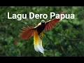 Download Lagu Lagu Dero Papua dengan Video yang Indah