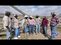 Seven generations of Black cowboys Legacy thrives at Baer Ranch in Matagorda County