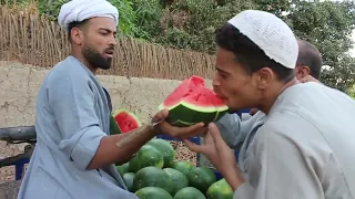 فصلان ضحك مع اغرب بياع بطيخ ممكن تشوفه في حياتك 