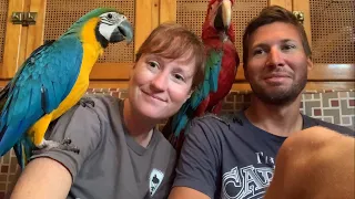 Gear Talk with Rigging Doctor