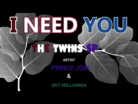 Download MP3 The Twins sp ....(I Need You )official Audio