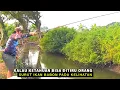 Download Lagu LOH KOK ENAK MAKANNYA! Dapat Babon babon mancing di spot surut