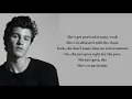 Shawn Mendes - Particular Taste