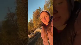 Https Vt Tiktok Com ZSyJNwkct 