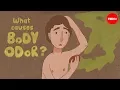 Lagu What causes body odor? - Mel Rosenberg