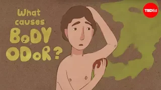 what causes body odor mel rosenberg