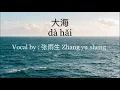 Download Lagu 大海 ( Dà hǎi ) l Vocal by ; 张雨生 ( Zhāng Yǔ Shēng ) l Terjemahan chinese - Indo MP3
