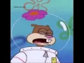 Sandy cheeks takes the sauce .-.