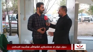 جیاوازی نێوان گوێزی خۆماڵی و بیانی 