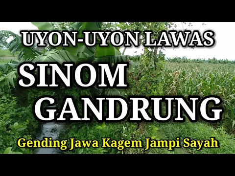 Download MP3 UYON-UYON LAWAS - SINOM GANDRUNG - GENDING JAWA KAGEM JAMPI SAYAH