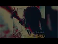 Raja Meziane - Free Bird - Freestyle [Prod by Dee Tox]