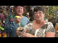 Amazon Jungle Pet Shop