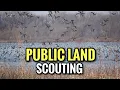 How To FIND Ducks on Public Land