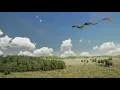 Asian Dragon Flight Test