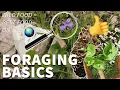 Foraging for Beginners