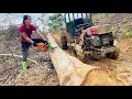 Download Lagu agricultural vehicles transporting timber giant trees