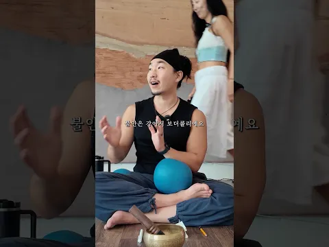 불안은 보더콜리다