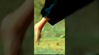 كاظم الساهر ودتني خطواتي وين دندنها
