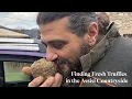 Lagu Finding Fresh Truffles in the Assisi Countryside