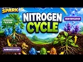 cbseNitrogen Cycle Explained Nitrogen Fixation Nitrification Denitrification Science Spark