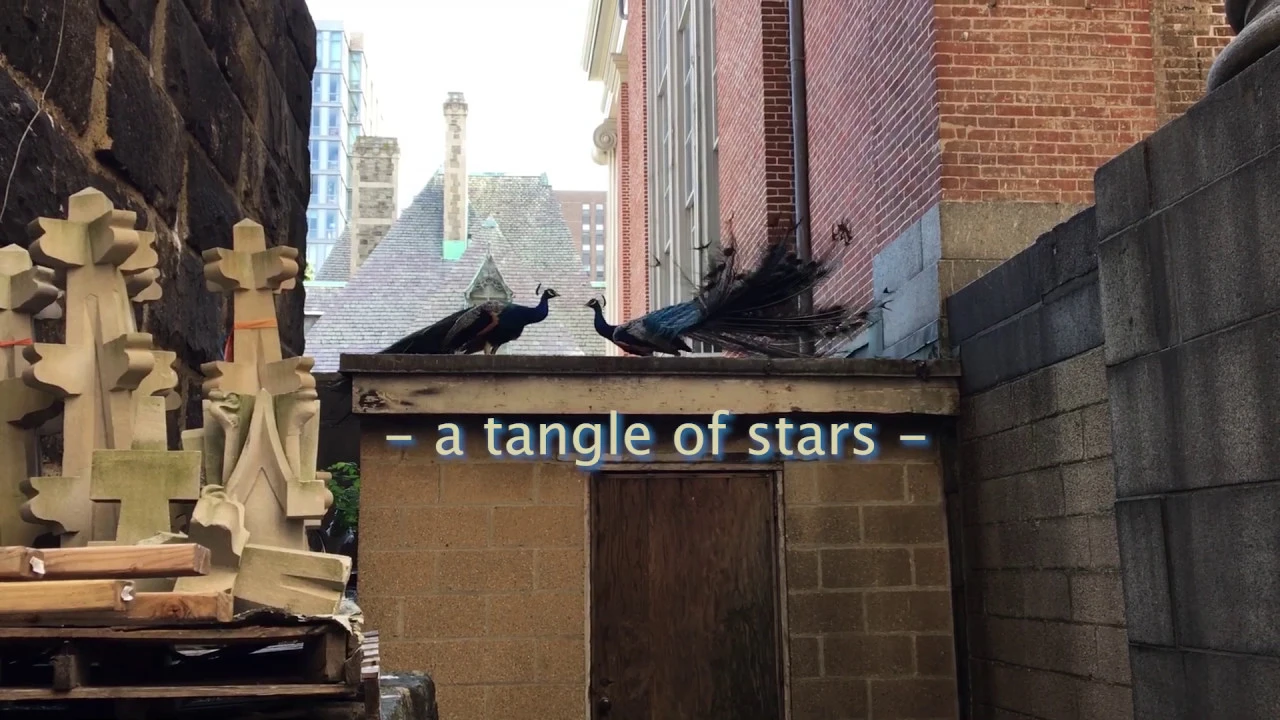 Mary Halvorson and John Dieterich - "a tangle of stars" Album Preview Trailer Mary Halvorson and John Dieterich - "a tangle of stars" Album Preview Trailer