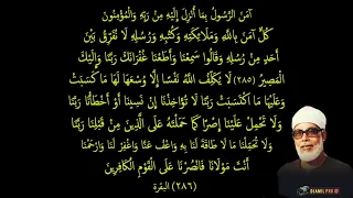                                                                                                      دندنها